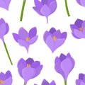 Seamless pattern flowers crocuses vector illustration